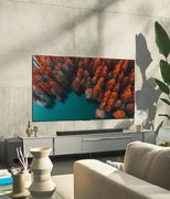 Телевизор LG OLED65G2 фото 3 в Санкт-Петербурге