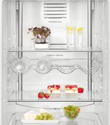 Холодильник AEG RCB63726OW фото 3 в Санкт-Петербурге