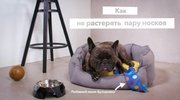 Стиральная машина Electrolux EW9F1R61B фото 4 в Санкт-Петербурге