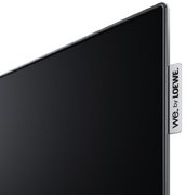 Телевизор Loewe We. SEE 65 oled coal black фото 4 в Санкт-Петербурге