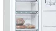 Морозильник Bosch GSV29VW20R фото 2 в Санкт-Петербурге