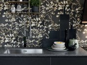 Мойка Франке BXX 210-68 сталь фото 2 в Санкт-Петербурге Мойка Franke BXX 210-68 сталь фото 2 в Санкт-Петербурге