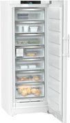 Морозильник Liebherr FNc 727i Peak фото 3 в Санкт-Петербурге