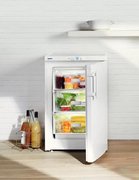 Морозильная камера Liebherr GP 1213 фото 3 в Санкт-Петербурге