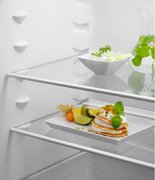 Встраиваемый холодильник Electrolux ERD6DE18S4 фото 4 в Санкт-Петербурге