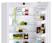 Холодильник Liebherr C 4023 фото 4 в Санкт-Петербурге