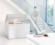 Морозильный ларь Liebherr GT 3032 фото 3 в Санкт-Петербурге