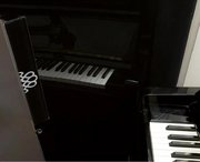 Монотемпературный винный шкаф EuroCave V-REVEL-S R-400016-S2B фото 3 в Санкт-Петербурге