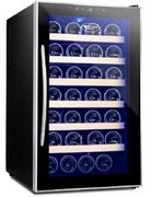 Винный шкаф Cold Vine C28-TBF1 фото 2 в Санкт-Петербурге