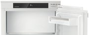 Встраиваемый холодильник Liebherr IRe 4021 Plus фото 3 в Санкт-Петербурге