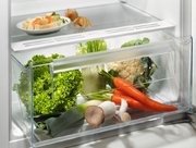 Встраиваемый холодильник Electrolux LRB3AE12S фото 3 в Санкт-Петербурге