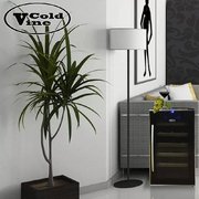 Винный шкаф Cold Vine C18-TBF1 фото 3 в Санкт-Петербурге