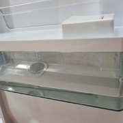 Холодильник Kaiser KS 80420 RS фото 4 в Санкт-Петербурге