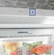 Холодильник Liebherr ICUNS 3023 фото 3 в Санкт-Петербурге