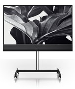 Телевизор Bang & Olufsen BeoVision Horizon 48 фото в Санкт-Петербурге