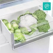 Холодильник Gorenje RK4181PS4 фото 4 в Санкт-Петербурге