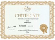 Винный шкаф Dunavox DAUF-32.83SS фото 3 в Санкт-Петербурге