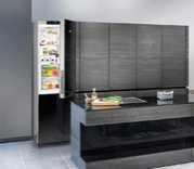 Холодильник Liebherr CBNPgb 4855 фото 4 в Санкт-Петербурге