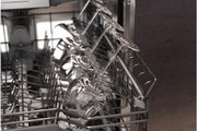 Встраиваемая посудомоечная машина Gaggenau DF481100 фото 4 в Санкт-Петербурге