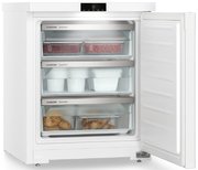 Морозильник Liebherr Fe 1003 фото 2 в Санкт-Петербурге