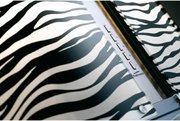 Вытяжка Falmec Mirabilia 67 Zebra Vetro (800) ECP фото 2 в Санкт-Петербурге