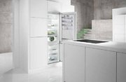 Двухкамерный холодильник Gorenje Plus GDC 67178 FN фото 2 в Санкт-Петербурге
