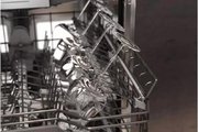 Встраиваемая посудомоечная машина Gaggenau DF481100F фото 4 в Санкт-Петербурге