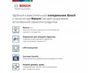 Холодильник с нижней морозильной камерой BOSCH KGE39AL33R фото 2 в Санкт-Петербурге