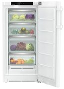 Холодильник Liebherr RBa 4250 фото 3 в Санкт-Петербурге