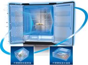 Холодильник Sharp SJ-GF60AR фото 4 в Санкт-Петербурге