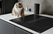 Индукционная варочная панель Zigmund Shtain CIS 303.60 BX с вытяжкой фото 4 в Санкт-Петербурге