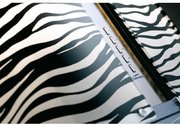 Вытяжка Falmec Mirabilia Isola 67 Zebra Vetro (800) ECP фото 2 в Санкт-Петербурге