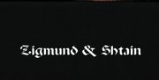 Духовой шкаф Zigmund Shtain EN 121.921 B фото 4 в Санкт-Петербурге