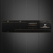 Духовой шкаф комбинированный с микроволновой печью Smeg SF4604PMCNR фото 3 в Санкт-Петербурге