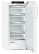 Холодильник Liebherr RBa 4250 фото 4 в Санкт-Петербурге