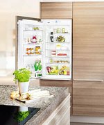 Встраиваемый холодильник Liebherr IK 1950 Premium фото 2 в Санкт-Петербурге