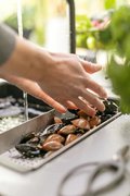 Коландер для кухонной мойки Франке 112.0066.060 фото 4 в Санкт-Петербурге Коландер для кухонной мойки Franke 112.0066.060 фото 4 в Санкт-Петербурге