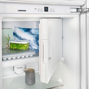 Холодильник Liebherr IKB 3524 фото 4 в Санкт-Петербурге