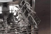 Встраиваемая посудомоечная машина Gaggenau DF480100F фото 4 в Санкт-Петербурге