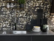 Мойка Franke BXX 210/110-68 полированная нержавеющая сталь фото 2 в Санкт-Петербурге