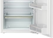 Встраиваемый холодильник Liebherr IRf 3901 Pure фото 4 в Санкт-Петербурге