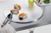 Тепан Miele CT 400 P фото 2 в Санкт-Петербурге