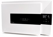 Отдельностоящий шкаф для шоковой заморозки Irinox Fresco D2000110 фото в Санкт-Петербурге