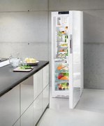 Холодильник Liebherr KBPgw 4354 Premium BioFresh фото 3 в Санкт-Петербурге