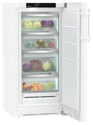 Холодильник Liebherr RBa 4250 фото 2 в Санкт-Петербурге