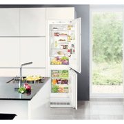Холодильник Liebherr ICP 3314 фото 3 в Санкт-Петербурге