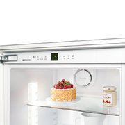 Холодильник Liebherr IK 2760 фото 4 в Санкт-Петербурге