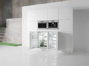 Однокамерный холодильник Gorenje Plus GDR 67088 B фото 2 в Санкт-Петербурге