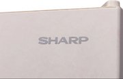 Холодильник Sharp SJ653GHXJ52R фото 4 в Санкт-Петербурге