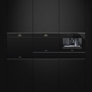 Духовой шкаф комбинированный с микроволновой печью Smeg SF4604PMCNX фото 2 в Санкт-Петербурге